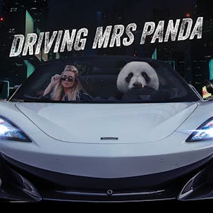 Photo of Driving Mrs. Panda Platinum Line Bong Buddies