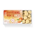 Product image for Orange Zest Awakening Mints 100mg 20-pack
