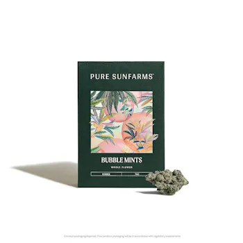 Bubble Mints