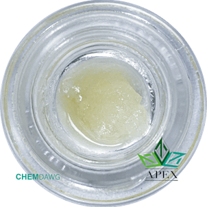 Photo of Chem Dawg (WVR.CD.102220.021)