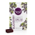 Blackberry CBD Gummies | 50mg | 2-pack