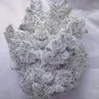 Product image for NukeHeads Killer White Widow