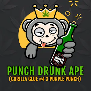 Photo of Punch Drunk Ape