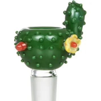 Photo of "Cactus Bowl"