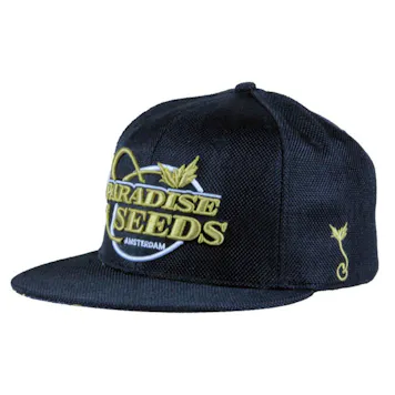 Photo of Black-Gold Hemp Snapback