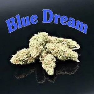 Photo of PhD - Blue Dream Flower - 20.26% THC