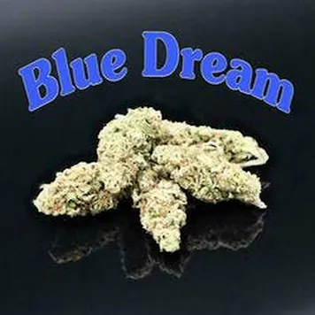 Photo of PhD - Blue Dream Flower - 20.26% THC