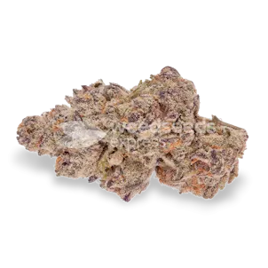 Photo of Blueberry CBD Feminized Seeds