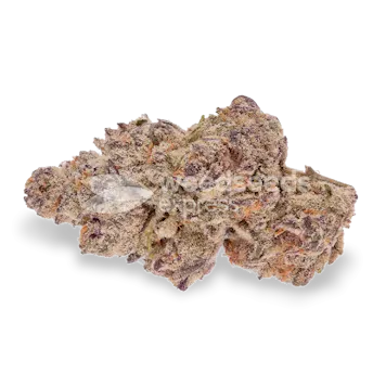 Photo of Blueberry CBD Feminized Seeds