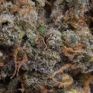 Photo of Frozen Blueberries, 3.5g