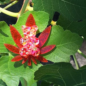 Photo of CannaBears Jewelry XL PIN - "Red Headed Stranger"
