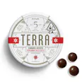 5mg Terra + NASHA 'Peppermint Pattie' Dark Chocolate Bites 100mg THC total
