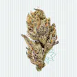 Product image for Mob Boss