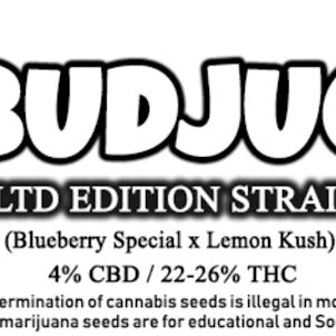 Photo of BUDJUG