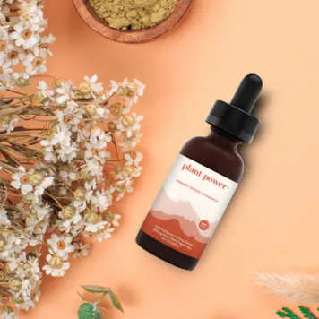 Photo of Plant Power 1200mg Full Spectrum CBD Oil: Orange | Cinnamon | Ginger