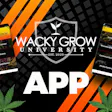 Product image for Wacky Grow