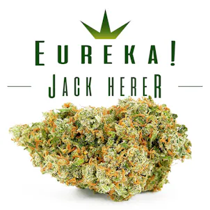 Photo of Jack Herer