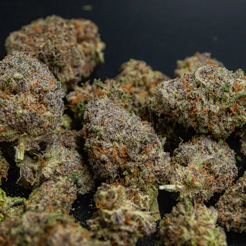Photo of Durango Lemon Purp