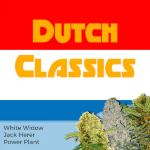 Photo of Dutch Classics Mixpack