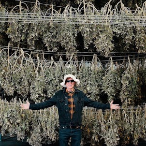 Photo of How to Grow Marijuana Certification Program