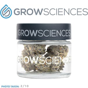 Photo of White Truffle (3.7)