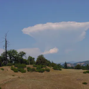 Photo of SOLD! 60 Acres in Mendocino County