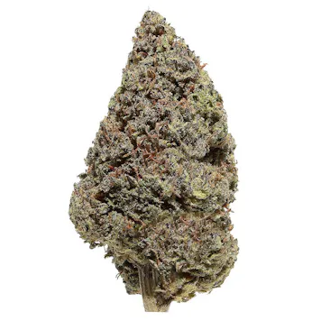 Photo of Outdoor Lemon Octane CBD Flower