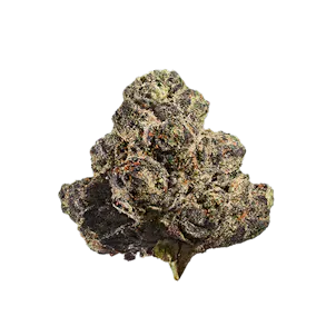 Photo of Jet Fuel Gelato 3.5g Hybrid Flower