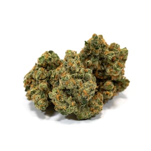 Photo of Jack Herer