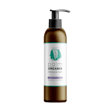 Product image for Premium CBD Camphor Lotion | Palm Organix