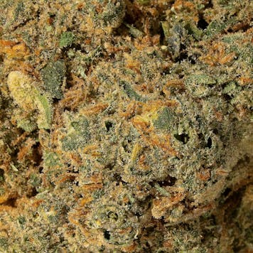 Photo of Solar Flare