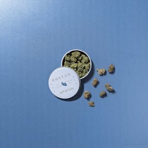 Photo of ZEN Grape Cream Cake Budlet Tin (3.5g)