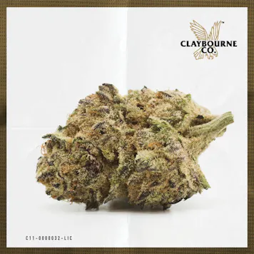 Photo of Mimosa (1g)