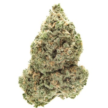 Photo of Blue Dream