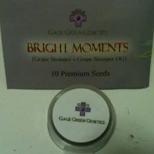 Photo of Gage Green Group - Bright Moments