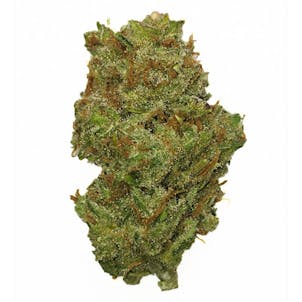 Photo of Lemon Skunk