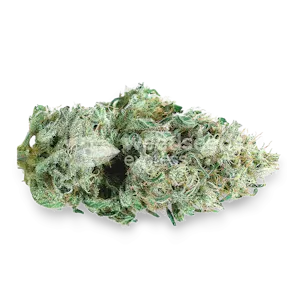 Photo of Super Skunk Autoflower Seeds