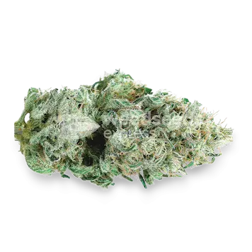 Photo of Super Skunk Autoflower Seeds