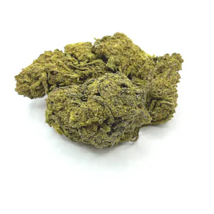 Photo of Maui Diesel