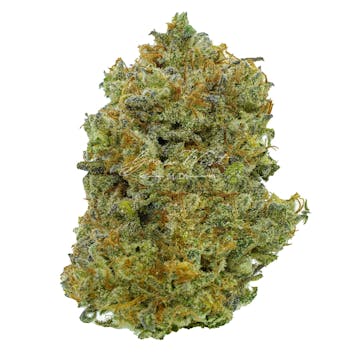 Photo of Intergalactic Premium