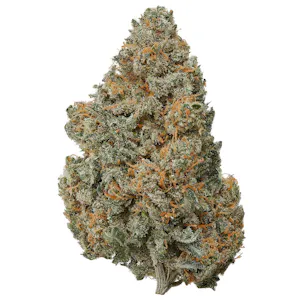 Photo of Indoor Electric Buffalo