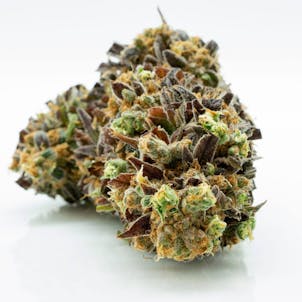 Product image for Tangie