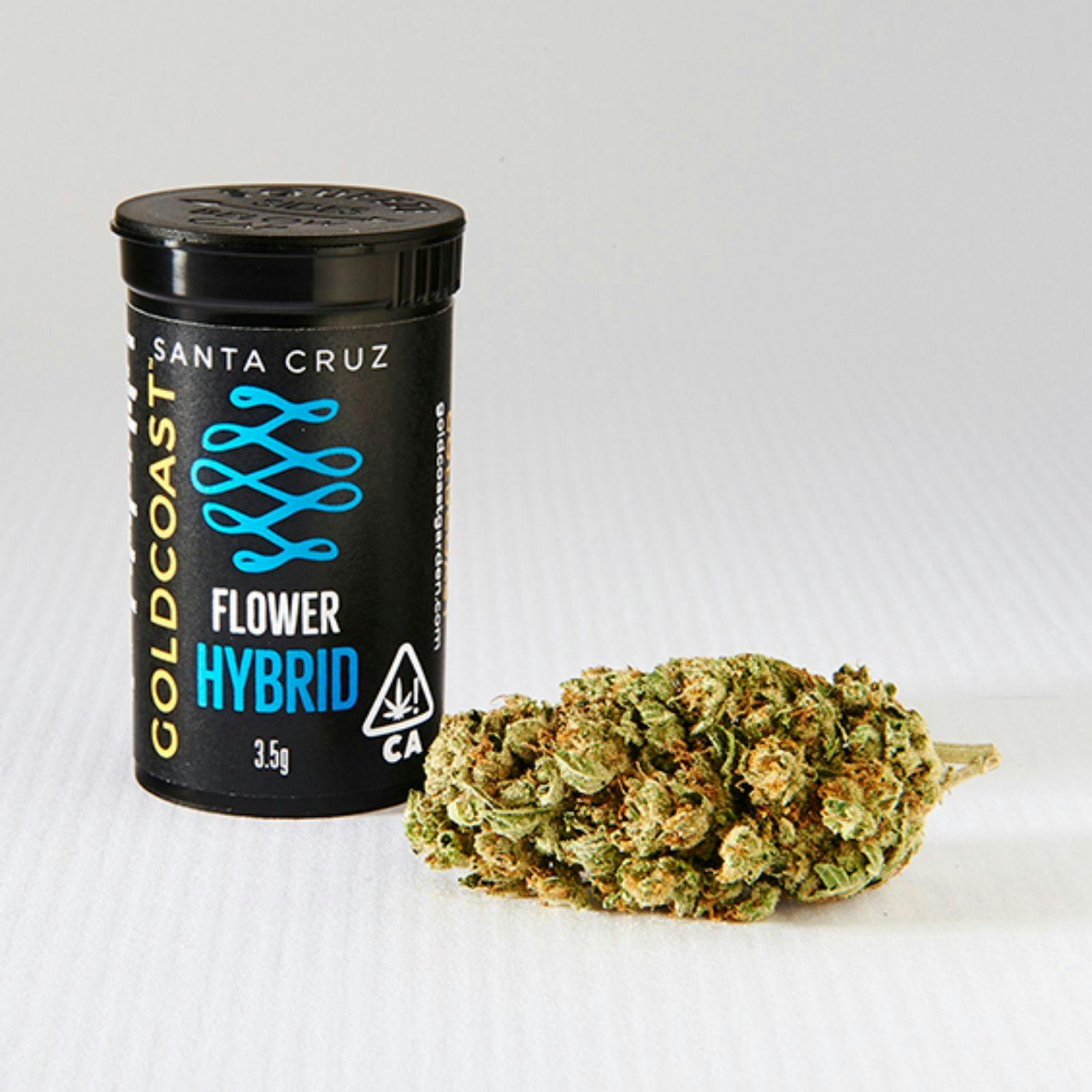 Gold Coast Garden Gold Coast Garden Flower 1/8 Leafly