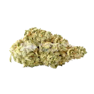 Photo of Colombian Gold Feminized Seeds