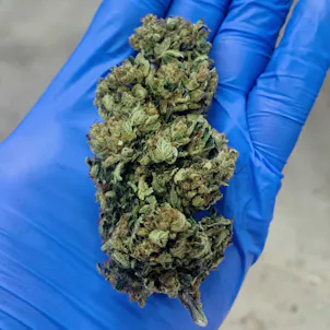 Photo of New York Lights CBD Hemp Flower