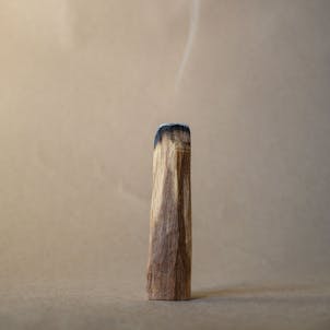 Photo of Palo Santo Incense Sticks
