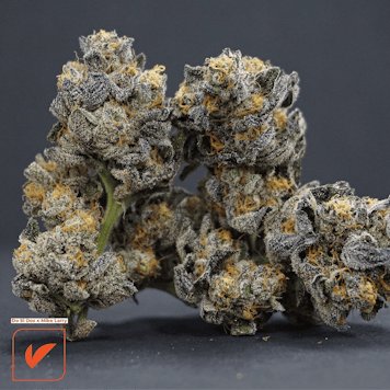 Photo of Do Si Dos x Mike Larry