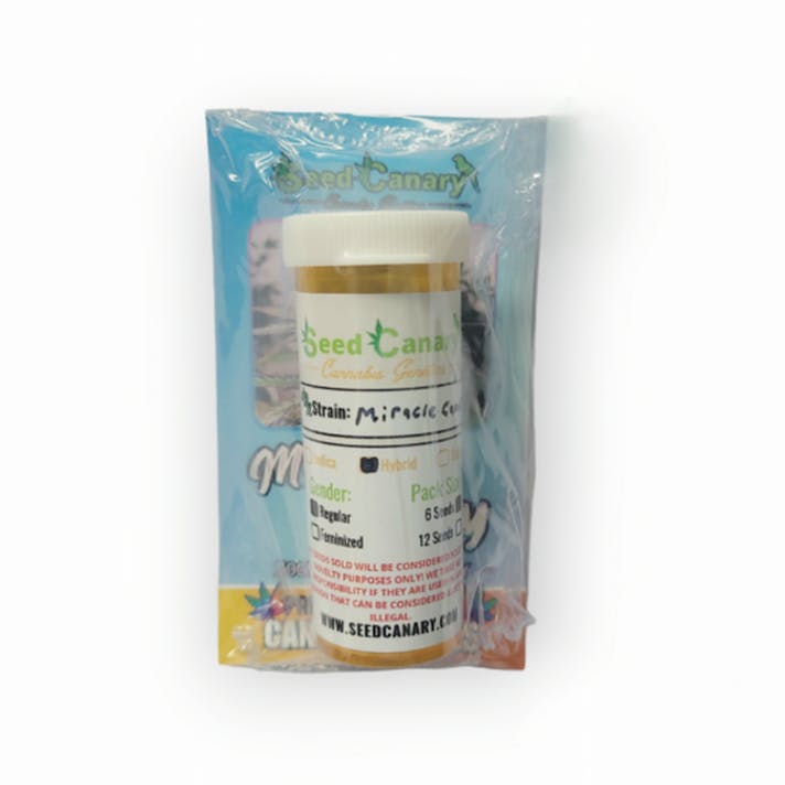 Seed Canary: Miracle Candy - 12x Regular Seeds | Leafly