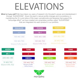 Photo of 1:1 Equalize Entourage Oil 100mg 2oz