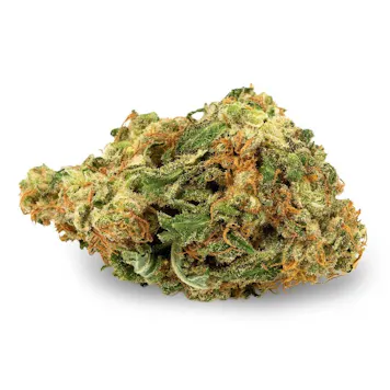 Photo of Blue Dream Feminized